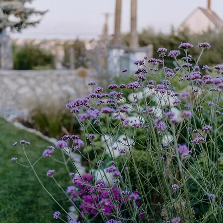 Panorama Vine House Apartament Balatonfüred