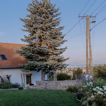 Panorama Vine House Apartament *