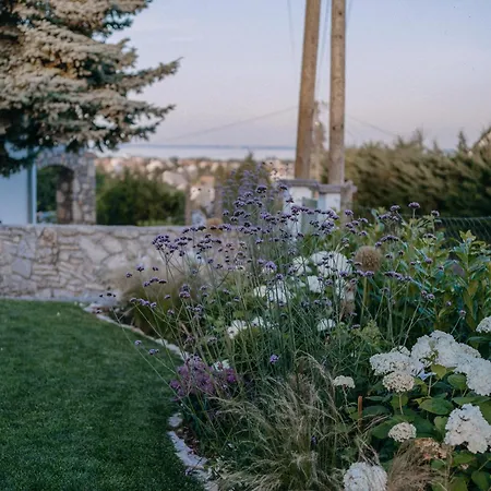 Panorama Vine House Apartman *