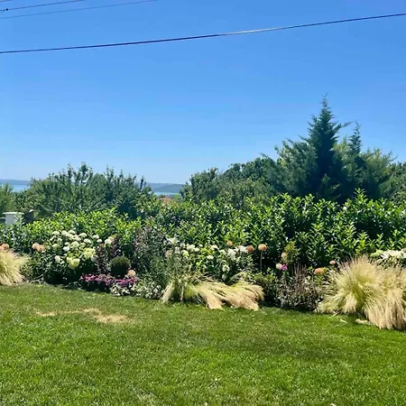 Panorama Vine House Apartman *