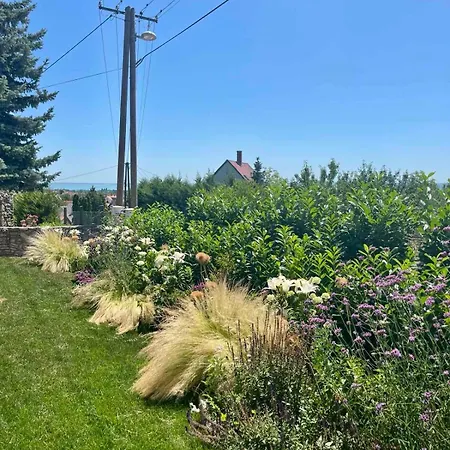 Panorama Vine House *