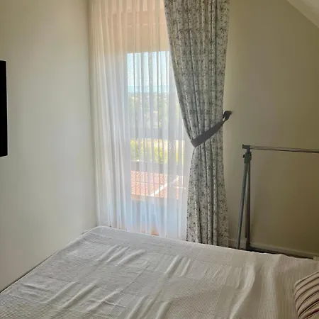 Panorama Vine House *