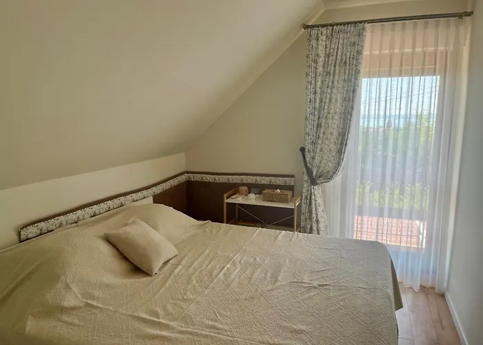 Panorama Vine House Apartment *